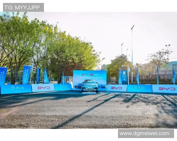 2026滑板团队协作排名：重庆滑板队创新高