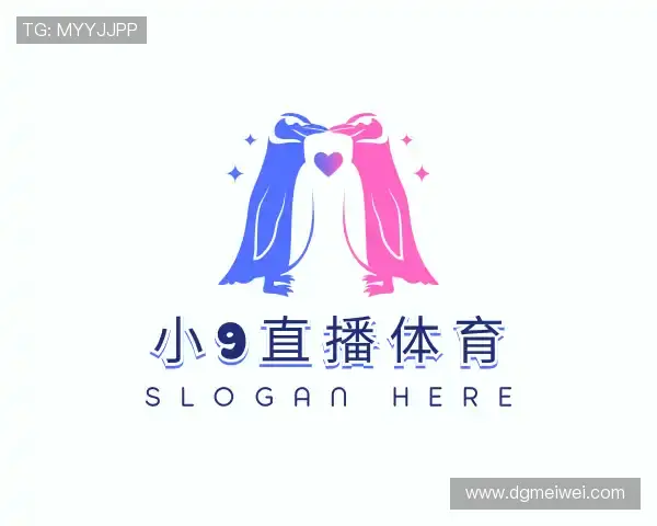 解读小9直播体育